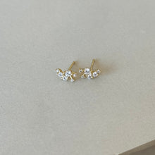 Cargar imagen en el visor de la galería, PIERCING CAPRICORNIO