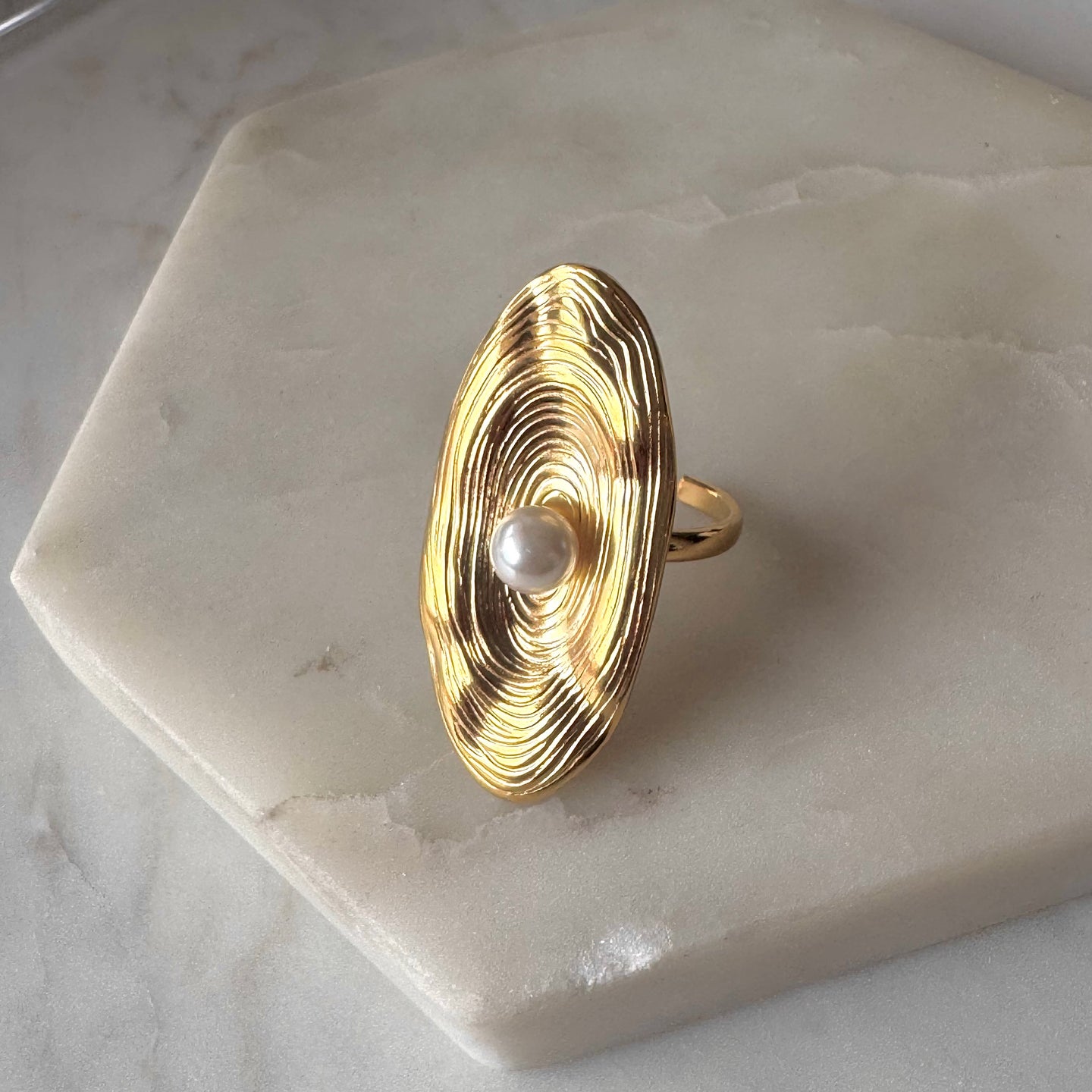 ANILLO ORBITA